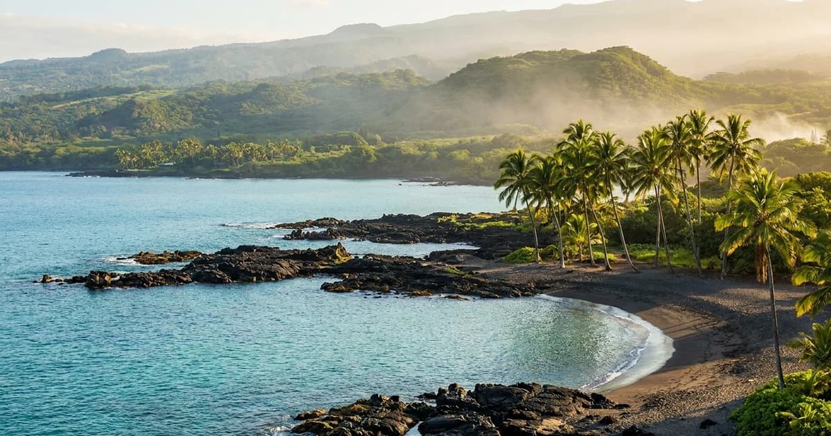 A black sand beach on the Big Island of Hawaii with calm turquoise water, lava-rock coastline, and a green palm-lined shore under soft afternoon light