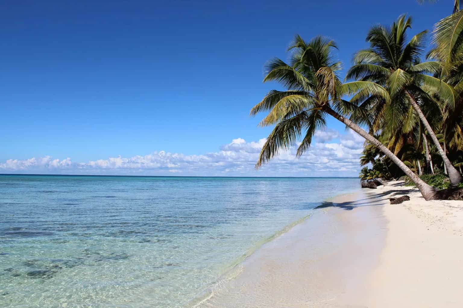 Palm-lined beach on Saona Island