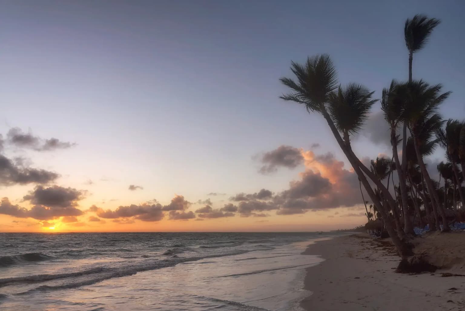 Sunrise over the sea at Punta Cana with leaning coconut palms along an empty beach
