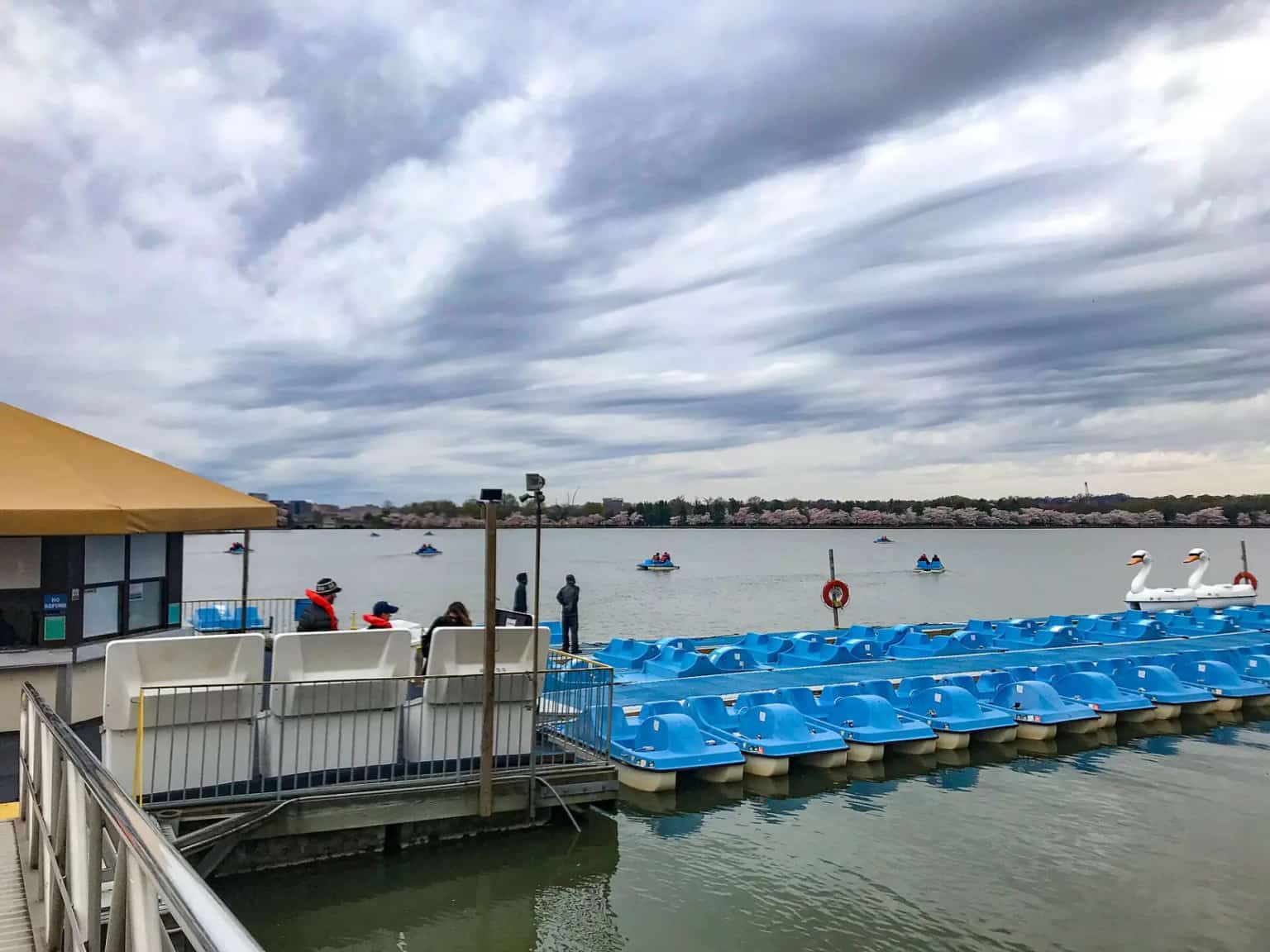 Rows of blue pedal boats and a swan boat docked at the Tidal Basin boathouse under a cloudy sky.