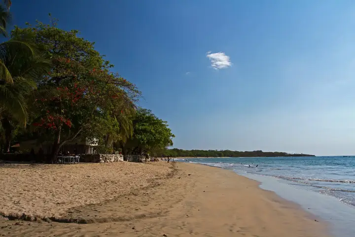 Tamarindo Beach on a clear day, with golden sand, gentle surf and shade trees along the shoreline.